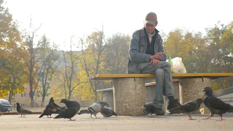 A homeless man sits thoughtfully on a bench and looks at the pigeons. Slow Stock Footage 127689944