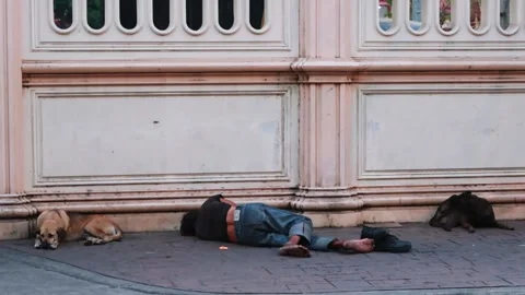 Homeless Man Sleeps Between 2 Sad Looking Dogs Stock Footage 147735566
