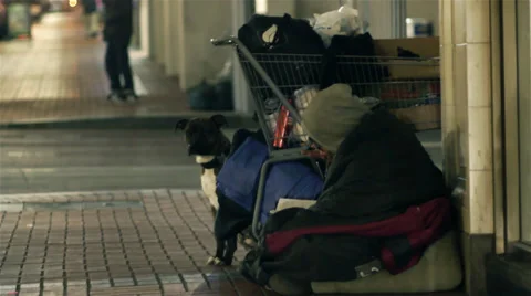 Homeless person with cart and blanket, cold night, with dog Stock Footage