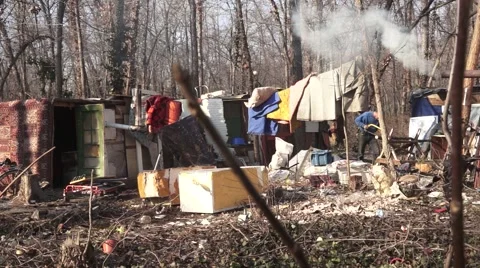 Homeless Persons are Living in Forest Stock Footage 50776953