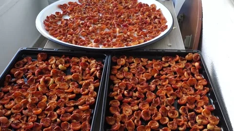 Homemade apricot drying process, fruit drying process in summer, drying fruit Stock Footage 205029004