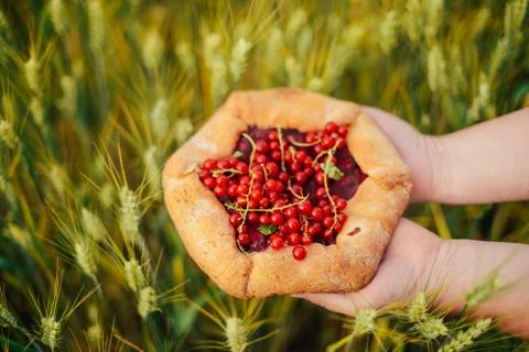 Homemade baking. Cake with cherries on a table. Homemade cherry pie on rustic Stock Photos