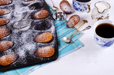 Homemade biscuits madeleines Stock Photos