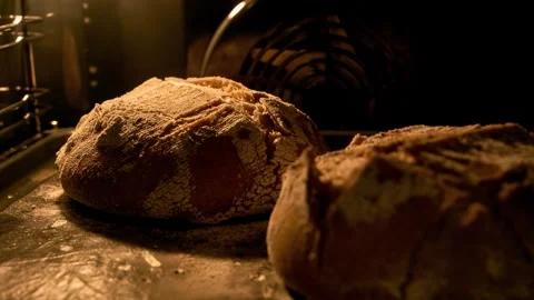 Homemade bread baking in oven. Organic fresh bread. Timelapse. Loaf is raised Stock Footage 241947263