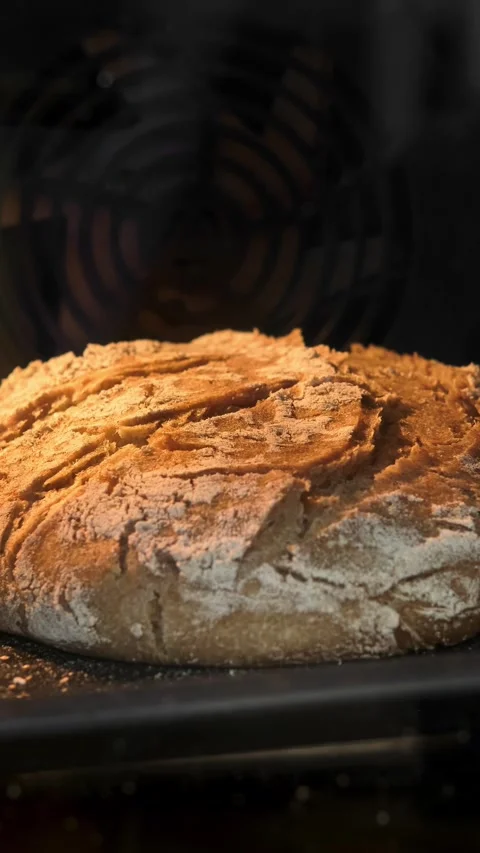 Homemade bread baking in oven. Organic fresh bread. Timelapse. Loaf is raised 스톡 동영상 314636174