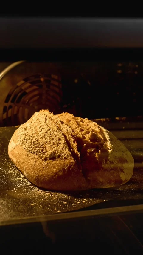 Homemade bread baking in oven. Production of edible product. Organic fresh bread Stock Footage 303709864