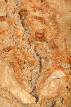 Homemade bread 스톡 사진