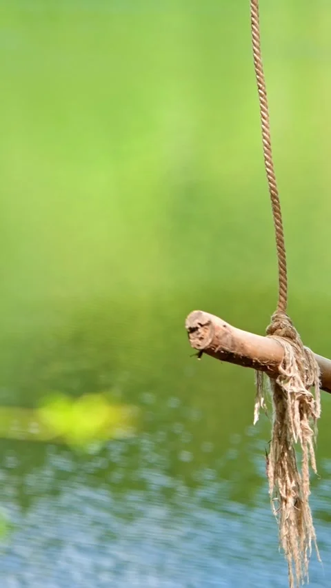 Homemade bungee on the lake Stock Footage 335278792