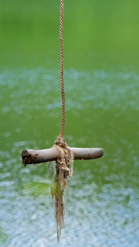 Homemade bungee on the lake Stock Footage 335280296