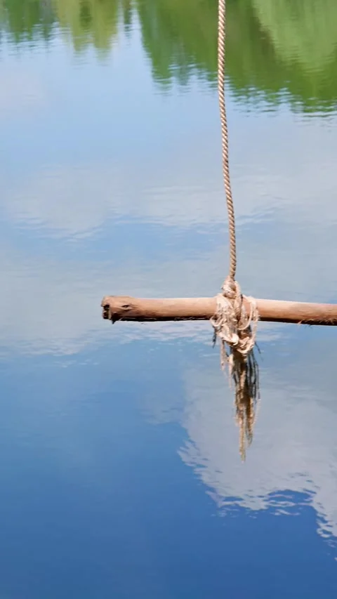 Homemade bungee on the lake Stock Footage 335280673