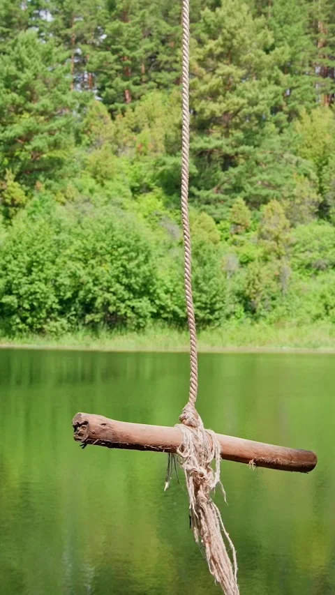 Homemade bungee on the lake Stock Footage 335280849