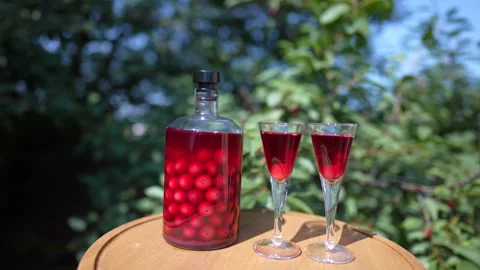 Homemade cherry brandy in two glasses and in a glass bottle in summer garden Stock Footage 202022802