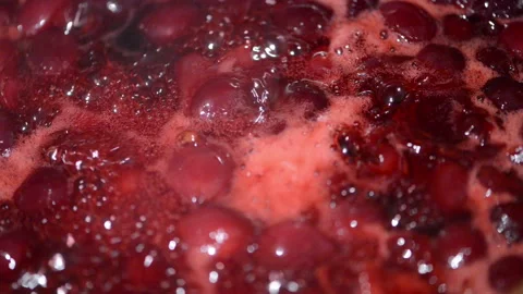 Homemade Cherry Marmalade Process 스톡 동영상 247049277