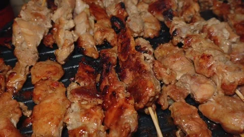 Homemade chicken satay Stock Footage 296214895