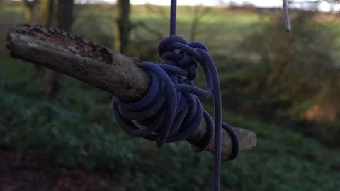 Homemade childrens swing made from tree branch and rope Stock Footage 150053843
