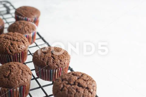 Homemade chocolate muffins Stock Photos