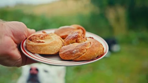 Homemade Cinnamon Roll Bread On A Plate With Nature Bokeh Background. Selective Видео 336815043