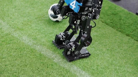 Homemade controlled robot on green grass. Stock Footage 194804791