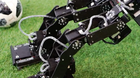 Homemade controlled robot on green grass. Stock Footage 194805072