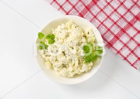 Homemade cottage cheese spread Stock Photos