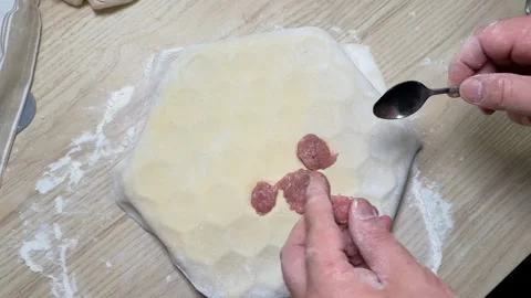 Homemade Dumpling Preparation Stock Footage 313657050