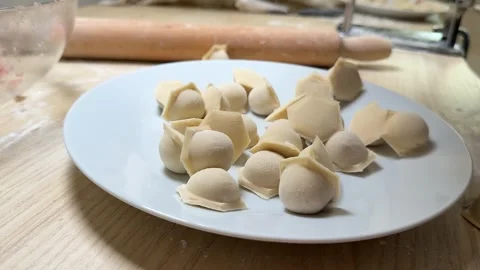 Homemade Dumplings Preparation Stock Footage 313657057
