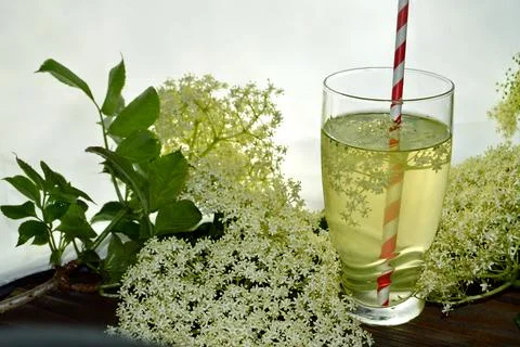 Homemade elderflower drink Foto stock
