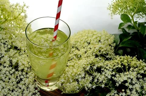 Homemade elderflower juice Stock Photos