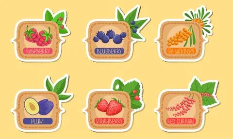 Homemade Jam Labels Set, Raspberry, Blueberry, Sea Buckthorn, Plum, Strawberry Illustrazione stock