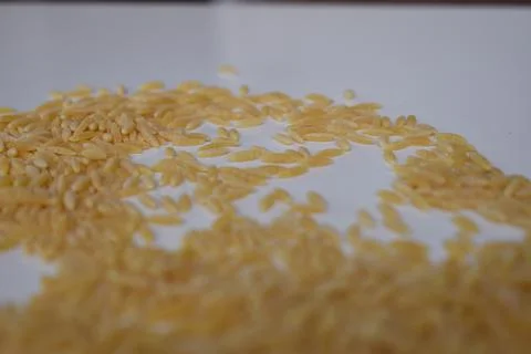 Homemade Noodles, a Valuable Dish Stock Photos