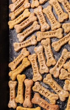 Homemade oatmeal dog treats with carrots Stock Photos