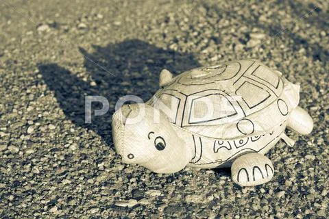 Homemade old tortoise Stock Photos