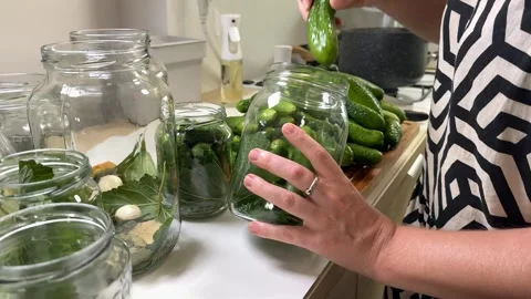 Homemade Pickle Preparation Stock Footage 313363802