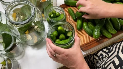 Homemade Pickle Preparation Stock Footage 313363807