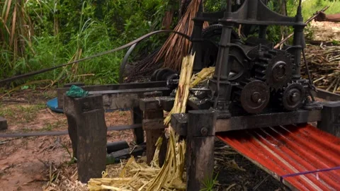 Homemade rum distillery machine processing pure clear liquid rum in Amazon Stock Footage 131576515