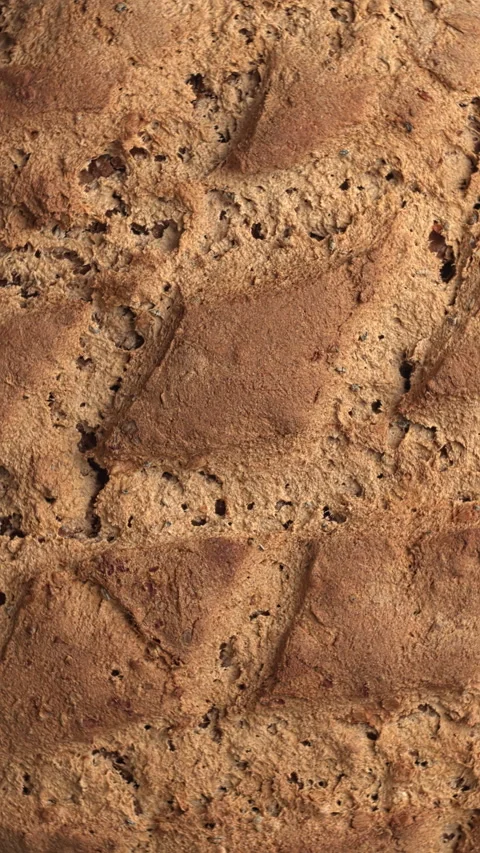 Homemade rye bread. Vertical video. Video stock 277279832