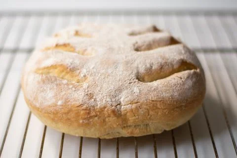 Homemade sourdough bread with a leaf pattern scoring Stock Photos