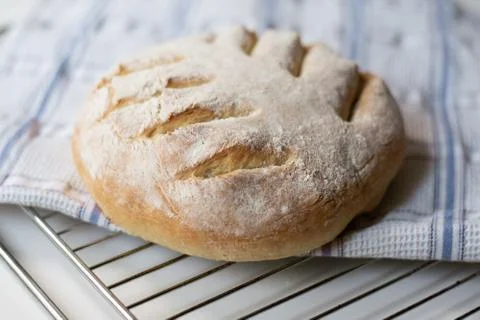 Homemade sourdough bread with a leaf pattern scoring Stock Photos