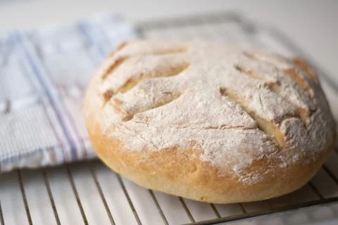 Homemade sourdough bread with a leaf pattern scoring Stock Photos
