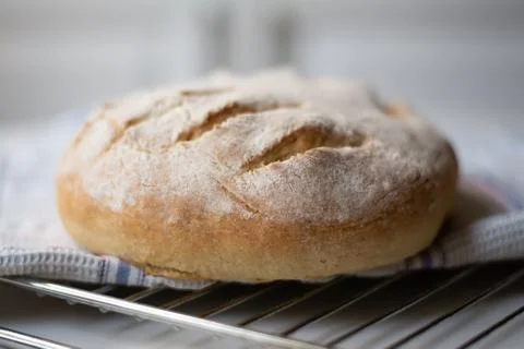 Homemade sourdough bread with a leaf pattern scoring Foto stock