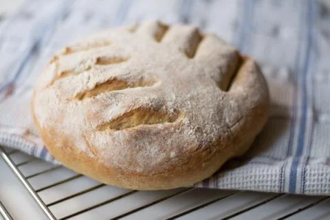 Homemade sourdough bread with a leaf pattern scoring Foto stock