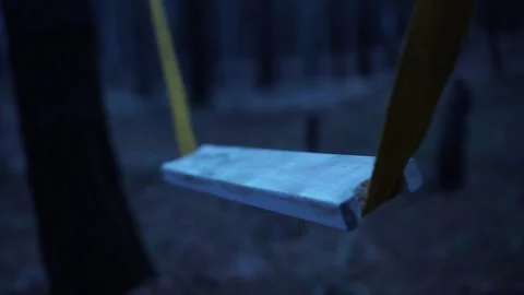 Homemade swing in the forest Stockbeeldmateriaal 170999063