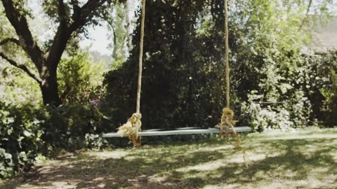 Homemade swing hanging in the tree Stock Footage 132068827