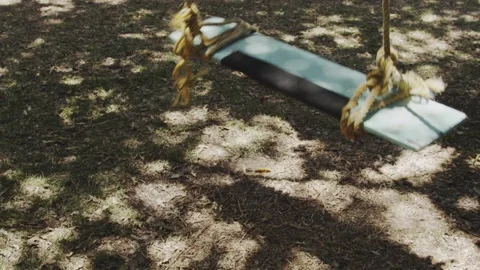 Homemade swing hanging in the tree Stock Footage 132068833