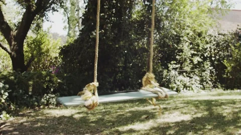 Homemade swing hanging in the tree Stock Footage 132068854
