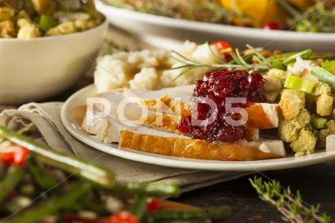 Homemade thanksgiving turkey on a plate Stock Photos