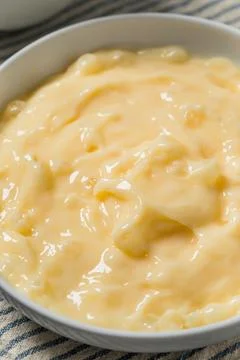 Homemade Vanilla Tapioca Pudding Stock Photos