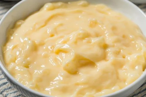 Homemade Vanilla Tapioca Pudding Stock Photos