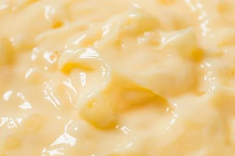 Homemade Vanilla Tapioca Pudding Stock Photos