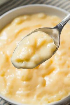 Homemade Vanilla Tapioca Pudding Stock Photos